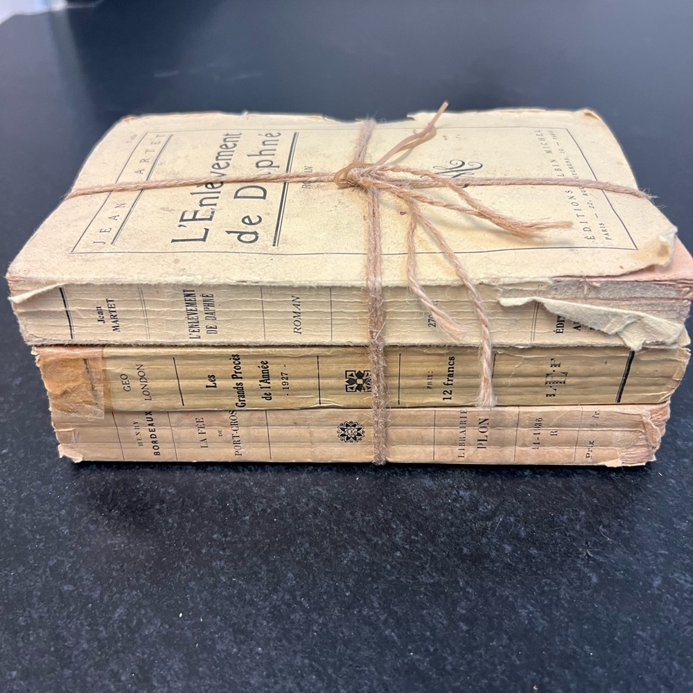 Set of 3 Antique French paper books